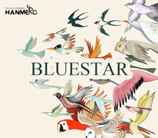 Bluestar