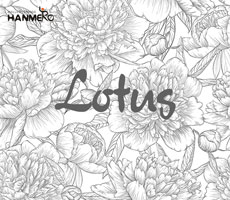 Lotus