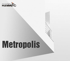 Metropolis