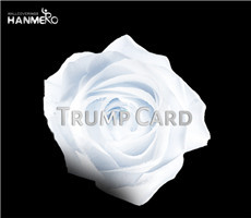 Trump Card