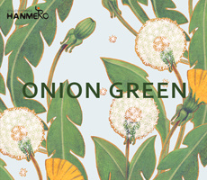 onion green
