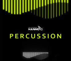 percussion