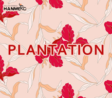 plantation