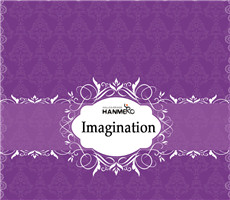 Imagination