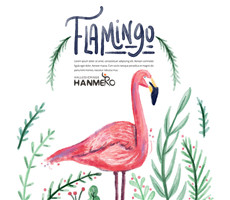 Flamingo