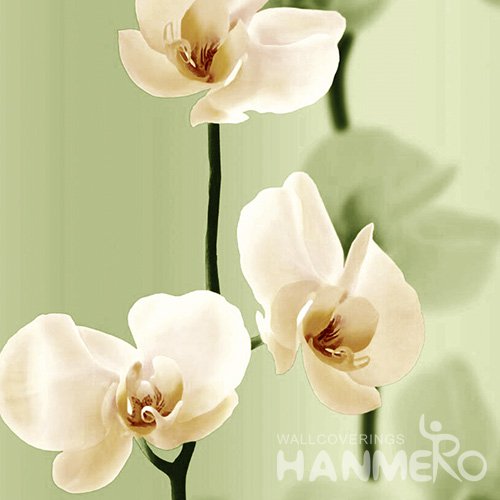 Wallpaper Model:HML24829 